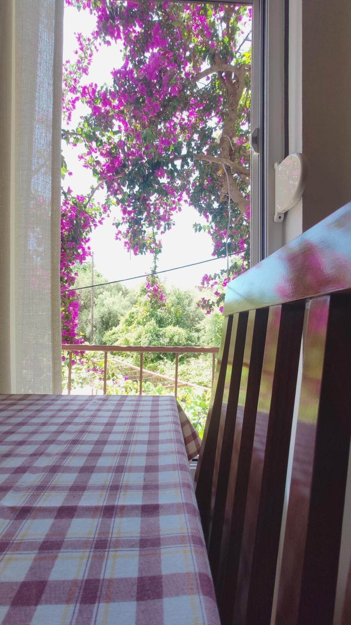 Apartments Ruza Budva Bilik gambar